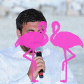 convegno chevre flamingo beach (17).JPG