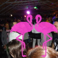 Reggae Night 2011-Playa El Flamingo- (16).JPG