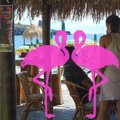 Playa El Flamingo-Day- (16).JPG