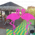 Playa El Flamingo-Day- (20).JPG