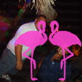 Noche Latina 2011-Playa El Flamingo (26).JPG