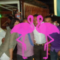 Noche Latina 2011-Playa El Flamingo (37).JPG