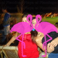 Noche Latina 2011-Playa El Flamingo (97).JPG