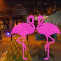 Playa El Flamingo-Area Privé-Night- (9).JPG