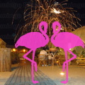 Playa El Flamingo-Area Privé-Night- (17).JPG