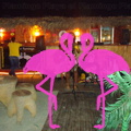 Playa El Flamingo-Area Privé-Night- (42)