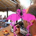 Zumba Fitness 2012 Playa el Flamingo (57).JPG