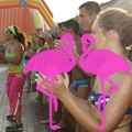 Zumba Fitness con Roberto e Caterina a Playa el Flamingo (6).JPG
