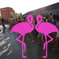 Zumba Fitness con Roberto e Caterina a Playa el Flamingo (16).jpg