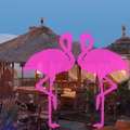 Area Priv+® Playa el Flamingo Marina di Camerota (6).JPG