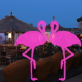 Area Priv+® Playa el Flamingo Marina di Camerota (7).JPG