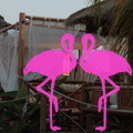 Area Priv+® Playa el Flamingo Marina di Camerota (16).JPG