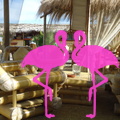 Area Priv+® Playa el Flamingo Marina di Camerota (26).JPG