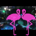 Suavecito The Party Playa El Flamingo