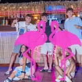 Playa el Flamingo Estate 2023