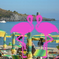 Area Privè Playa el Flamingo