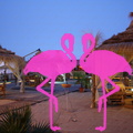 Area Privè Playa el Flamingo