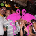Reggae Night Playa el Flamingo