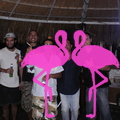 Reggae Night Playa el Flamingo