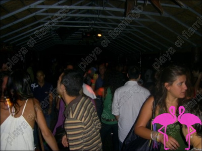 normal_Reggae Party 2007 Playa el Flamingo (59).jpg
