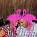 Playa el Flamingo Serate Varie
