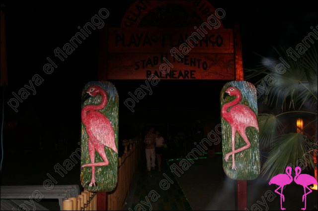 ocumare party 2007 playa el flamingo (226).jpg