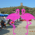 Animazione Playa el Flamingo