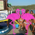 Animazione Playa el Flamingo
