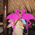 Heineken Party Playa el Flamingo