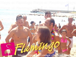 animazione-flamingo-2011 (5)