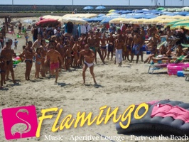 animazione-flamingo-2011 (10)