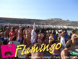 animazione-flamingo-2011 (16)