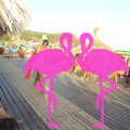 animazione-flamingo-2011 (44)