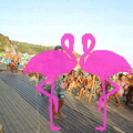 animazione-flamingo-2011 (50)