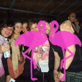 Reggae Night 2011-Playa El Flamingo- (2)