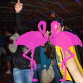 Reggae Night 2011-Playa El Flamingo- (15).JPG