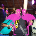 Reggae Night 2011-Playa El Flamingo- (22)