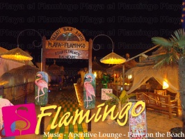 Reggae Night 2011-Playa El Flamingo- (26)