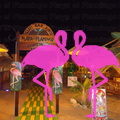 Reggae Night 2011-Playa El Flamingo- (26)