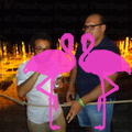 Reggae Night 2011-Playa El Flamingo- (27).JPG