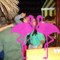 Reggae Night 2011-Playa El Flamingo- (29).JPG