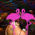 Reggae Night 2011-Playa El Flamingo- (35).JPG