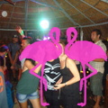 Reggae Night 2011-Playa El Flamingo- (38)