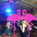 Reggae Night 2011-Playa El Flamingo- (41)