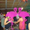Reggae Night 2011-Playa El Flamingo- (40)