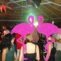 Reggae Night 2011-Playa El Flamingo- (42).JPG