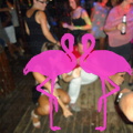 Reggae Night 2011-Playa El Flamingo- (43)