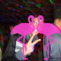 Reggae Night 2011-Playa El Flamingo- (51)