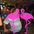 Reggae Night 2011-Playa El Flamingo- (50)