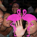 Reggae Night 2011-Playa El Flamingo- (55)